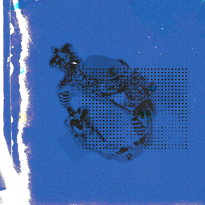 女生被男生插入动漫
