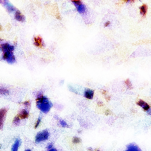 女生被男生插入动漫
